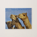 Suche nach ägypten puzzle Kamel