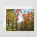 Suche nach herbst baum karten Landschaft