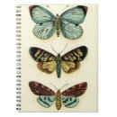 Suche nach schmetterling kleine notizbücher Tiere