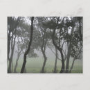 Suche nach madeira postkarten Reiseziele