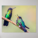 Suche nach lovebirds poster Jede person