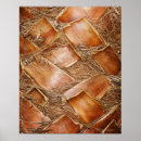 Suche nach baumstamm poster Oberfläche