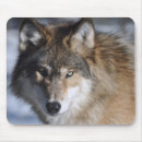 Suche nach grauer wolf mousepads Natur