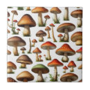 Suche nach pilze fliesen Kernpunkt