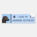 Suche nach labrador retriever autoaufkleber Welpe