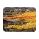 Suche nach fossil magnete Bemalte hügel