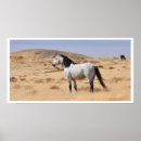 Suche nach graues pferd poster Graupferd