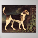 Suche nach foxhound poster Öl