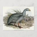 Suche nach goose postkarten Vintag