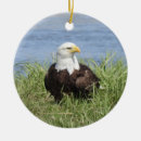 Suche nach wildvogel ornamente Tierwelt