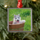 Suche nach husky ornamente Alaskan hund