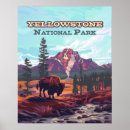 Suche nach bison poster Gelbstein