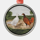 Suche nach goldenes huhn Hahn