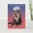 Suche nach asse karten Glücklich