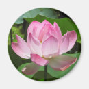 Suche nach lotus magnete Symbol