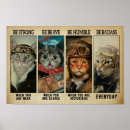 Suche nach schlechte katze poster Katzen