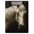 Suche nach weiße pferde klemmbrett Fotografie