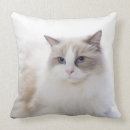 Suche nach ragdoll kissen Tiere
