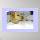 Suche nach winterszenen poster Fotografie