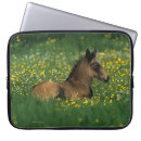 Suche nach fohlen laptop schutzhüllen Bob langrish