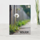 Suche nach weißer zaun karten Jede person