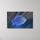 Suche nach seitenansicht leinwandbilder Tier