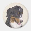 Suche nach berner sennenhund magnete Welpe