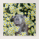 Suche nach bull terrier puzzle Welpe