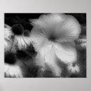Suche nach hoch poster Blume