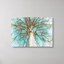 Suche nach alter baum leinwandbilder Jede person