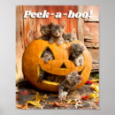 Suche nach jackolantern poster Spaß