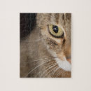 Suche nach katzenaugen puzzle Katzengesicht