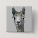 Suche nach alpaka buttons Lama