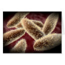 Suche nach cell postkarten Mikroskopisch