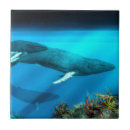 Suche nach wale fliesen Wasser