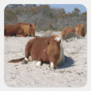 Suche nach ponys aufkleber Jede person
