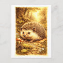 Suche nach igel illustration postkarten Wald