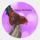 Suche nach lustiger hahn aufkleber Für alle