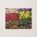 Suche nach tulpen puzzle Gelb