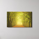 Suche nach licht leinwandbilder Hoffnung