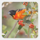 Suche nach baltimore aufkleber Usa