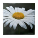 Suche nach gesicht fliesen Blume