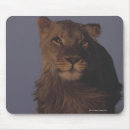 Suche nach löwe mousepads Vertikal