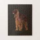 Suche nach irish setter puzzle Haustier