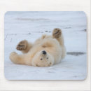 Suche nach ursus maritimus mousepads Tierwelt