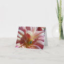 Suche nach dahlia karten Naturfotografie