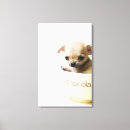 Suche nach chihuahua leinwandbilder Skala
