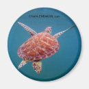 Suche nach unterwasser magnete Schildkröte