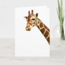 Suche nach höhen karten Giraffe