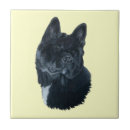 Suche nach kasten fliesen Für alle